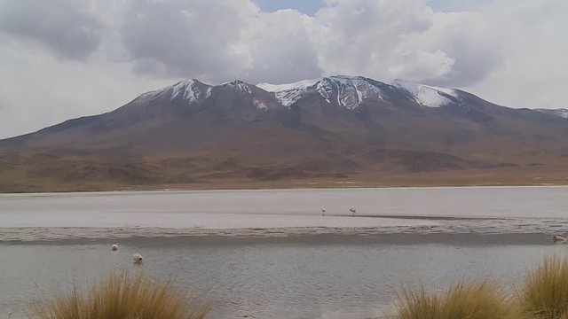 Wide low-angle still shot of Atacama andean landscape with snow peaked mountains, salt flats, and a flowing River isluga with flamingo birds, Altiplano, Bolivia