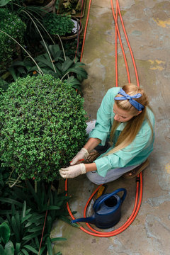 Girl trimming green bush in hothouse