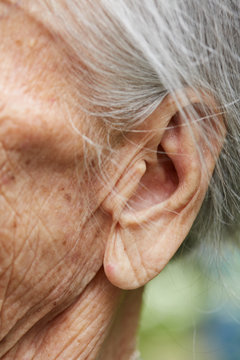 Closeup ears of big old woman