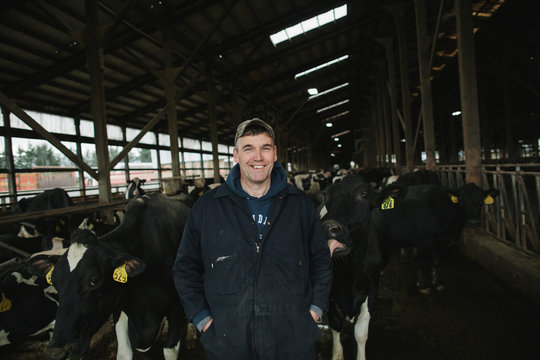 Dairy farmer portrait in cow barn