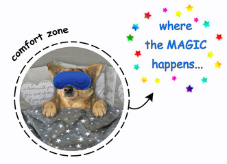 The tired dog with a blue funny sleep mask is in bed under the blanket. Where the magic happens. White background.