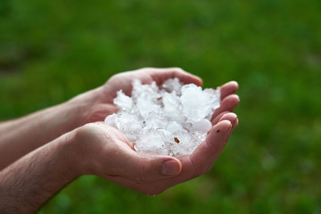 large pieces of ice hail in the palm of your hand. man holding a handful of large hailstones....