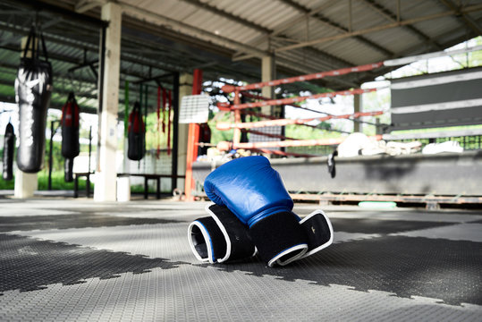 Blue boxing gloves against ring.