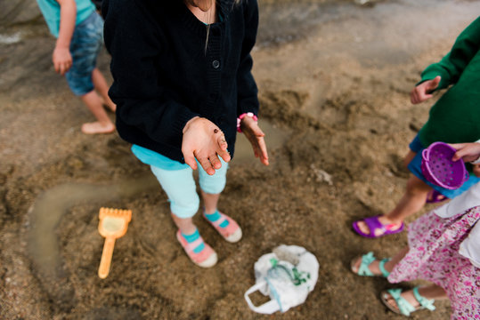 little girl  showing a ladybug that she found