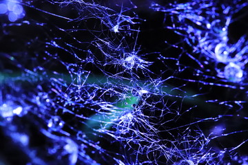 abstract blue background