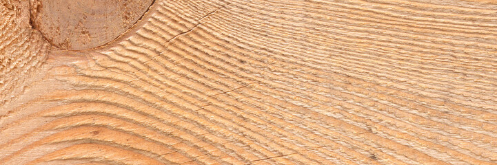 Natural wooden texture of the pine tree plank.