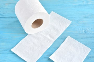 roll of toilet paper