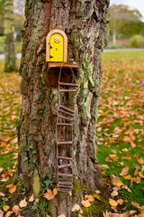 Fairy doors on trees in an Irish wood for the little people.
