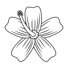Tropical flower and petals nature cartoon in black and white