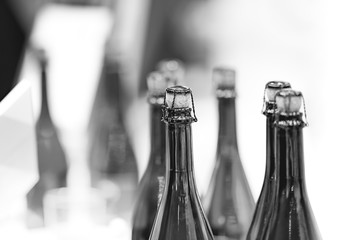 Glass champagne bottles with stoppers