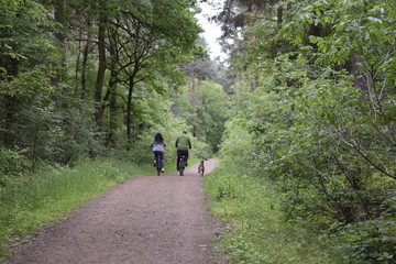 Obraz premium Picture