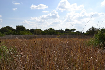 Parque natural toruños