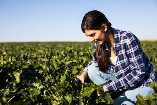 Young Woman Farmer Looking On Plants