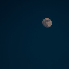 Fototapeta premium Three quarters moon in a Night Sky