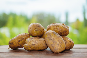 Freshly potatoes on nature background