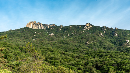 landscape in mountains