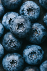 Fresh blueberry background. Texture blueberry berries close up. Vegan and vegetarian concept.