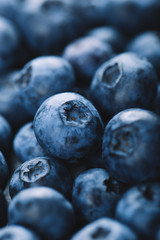 Fresh blueberry background. Texture blueberry berries close up. Vegan and vegetarian concept.