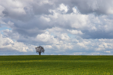 Very big black clouds in the sky before the storm