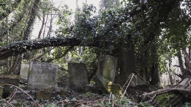 Horizontal camera slide on old jewish cemetery located in the city of Czestochowa in Poland with destroyed matzevah