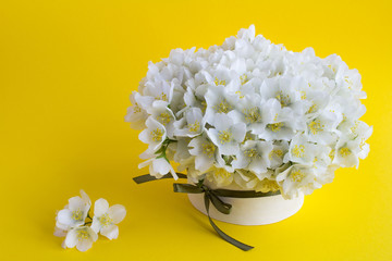 White jasmine flowers in the gift box on the yellow background.Copy space.