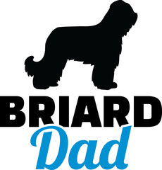 Briard dad in blue