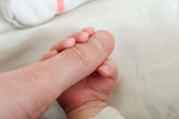 Hand of newborn baby holding male adults finger. Concept of help and family. Father holding hand.