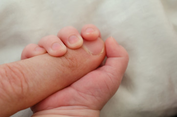 Hand of newborn baby holding male adults finger. Concept of help and family. Father holding hand.