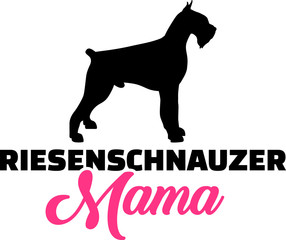 Giant Schnauzer mom pink german