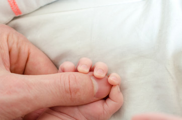 Hand of newborn baby holding male adults finger. Concept of help and family. Father holding hand.