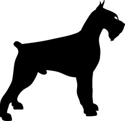 Giant Schnauzer silhouette