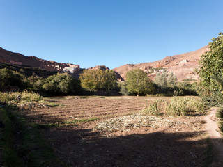 Wanderung bei Boumalne im Dades Tal am Dades Flus im südlichen Atlasgebirge von Marokko