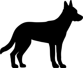 Malinois silhouette