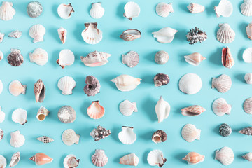Sea beach composition. Starfish, seashell on pastel blue background. Summer concept. Flat lay, top view, copy space