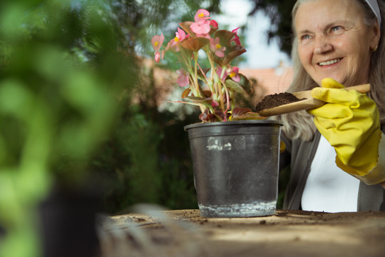 Happy Mature Woman Gardening And Smiling