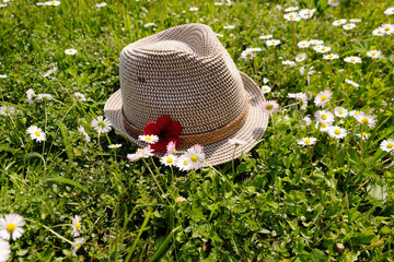 A Purple flower and grass flower on a hat in sun light