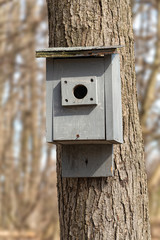Birdhouse Attached to Tree Trunk
