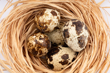 Obraz premium quail eggs on white background 