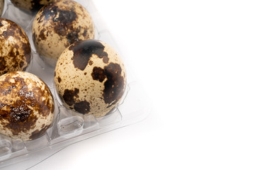 quail eggs on white background	