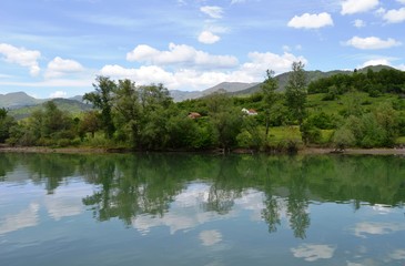 Fototapeta na wymiar a reflection of nature in the lake