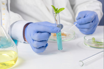 Man holding test tube with leaves. in a laboratory