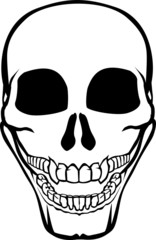 Human skull. Monochrome vector, isolated, stylized image.