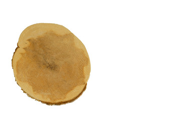 Wooden section of the round shape. Isolated object on white background. Template for lettering or drawing.