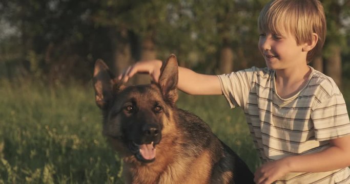 Boy with a dog in nature. 7 year old boy petting a dog breed German shepherd. Happy smiling kid on the field with dog. Little boy is playing with his pet in the meadow. Slow motion.