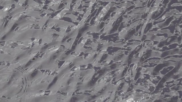 The gently undulating surface of the river is disturbed by a sudden fountain of spray. Super slow motion 1000 fps