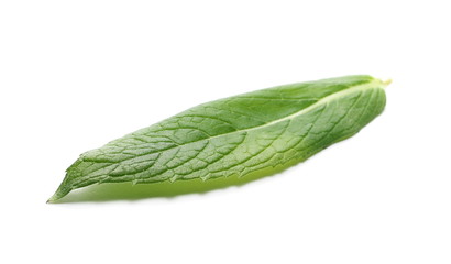 Fresh mint leaf isolated on white 