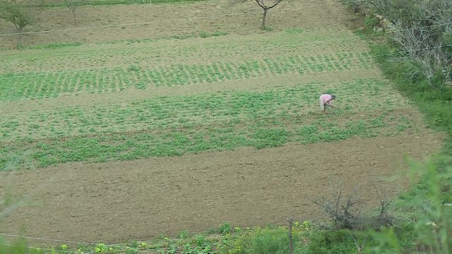 An aerial shot of a farmer ploughing a farmland