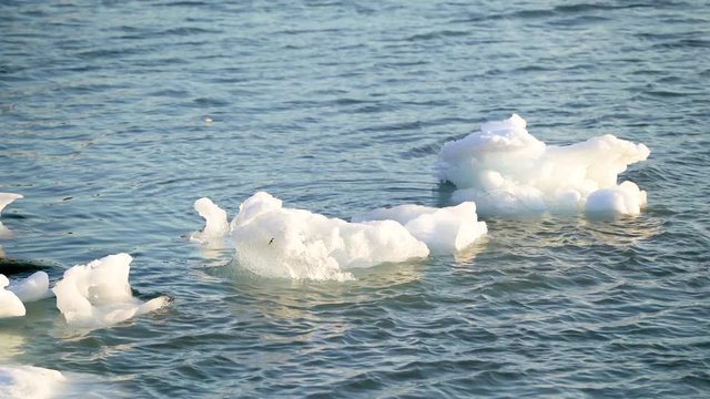 Icebergs floating in arctic ocean, Greenland