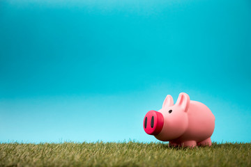 Piggy bank on green grass and blue sky 