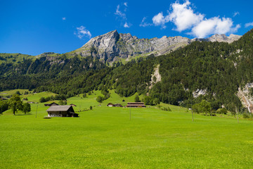 Alpine valley at summer. Swiss Alps .